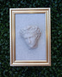 Augustus, framed 3D printed sculpture